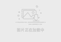 九球直播